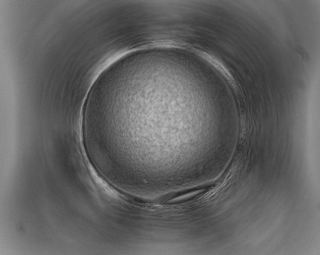 X0000113591439200909251127