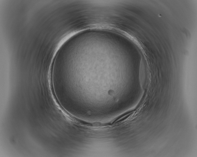 X0000113591440200909251127