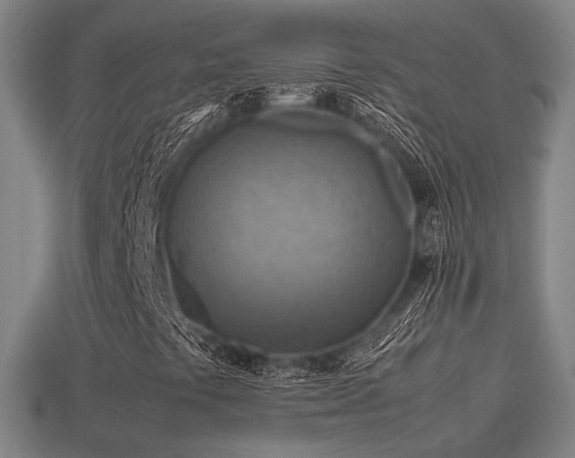 X0000113591441200909251126