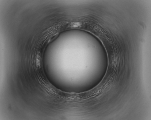 X0000113591442200909251126