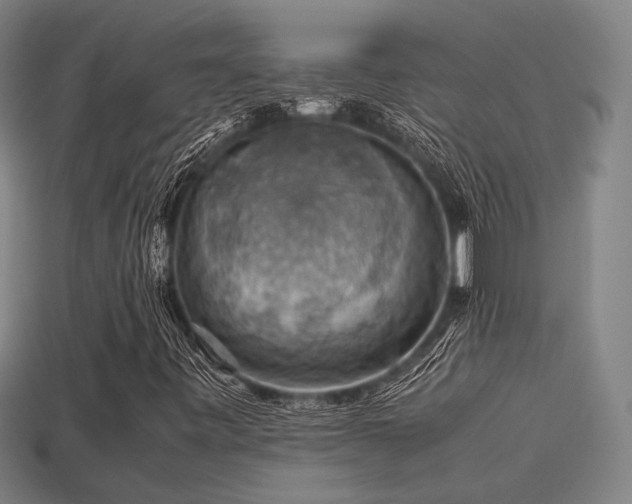 X0000113591443200909251126