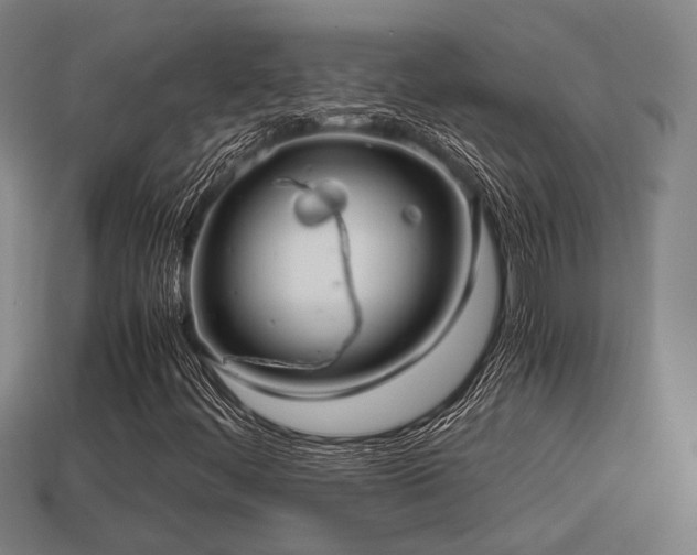 X0000113591444200909251126