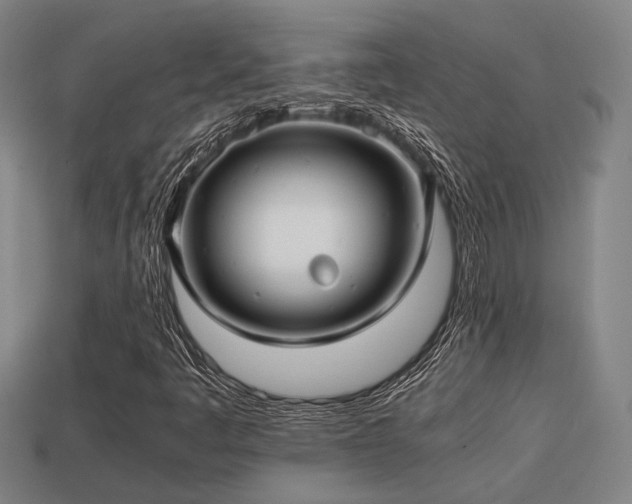 X0000113591445200909251126