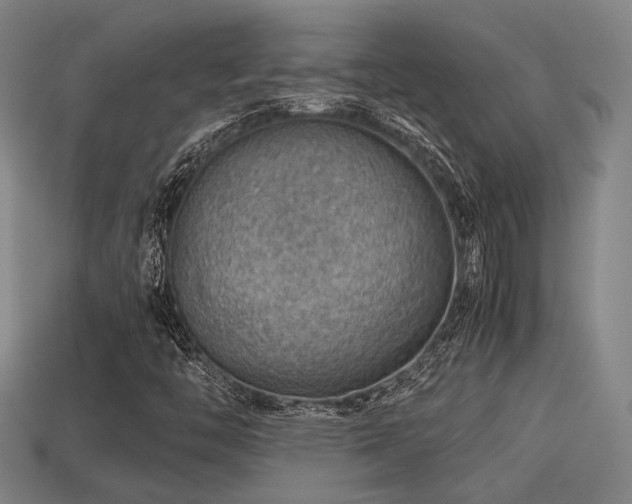 X0000113591446200909251126