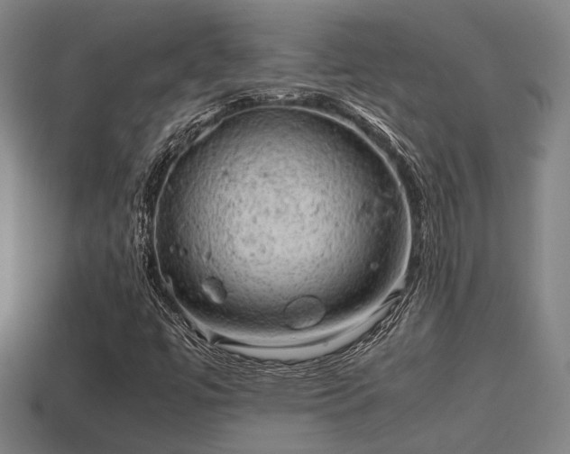 X0000113591447200909251126