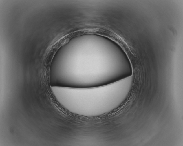 X0000113591448200909251126