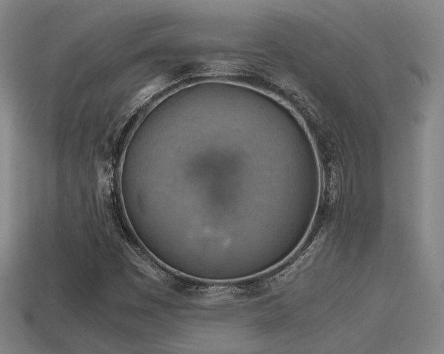 X0000113591449200909251126