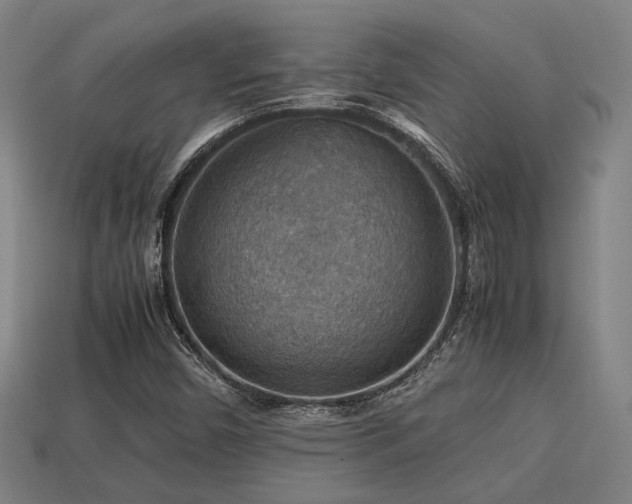 X0000113591450200909251126