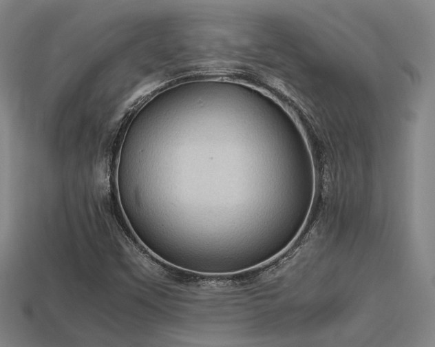 X0000113591451200909251126