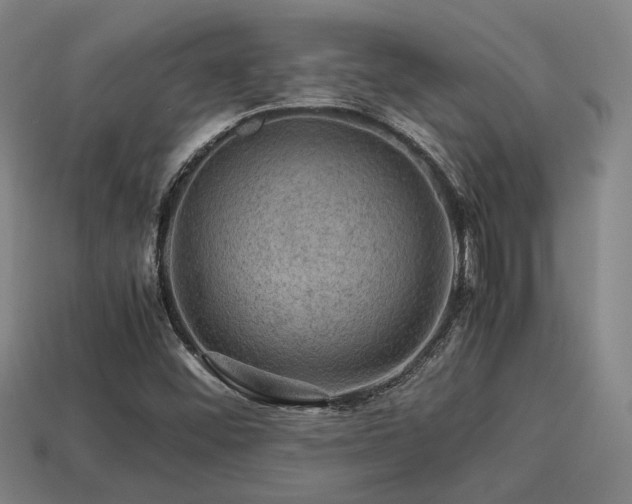 X0000113591452200909251126