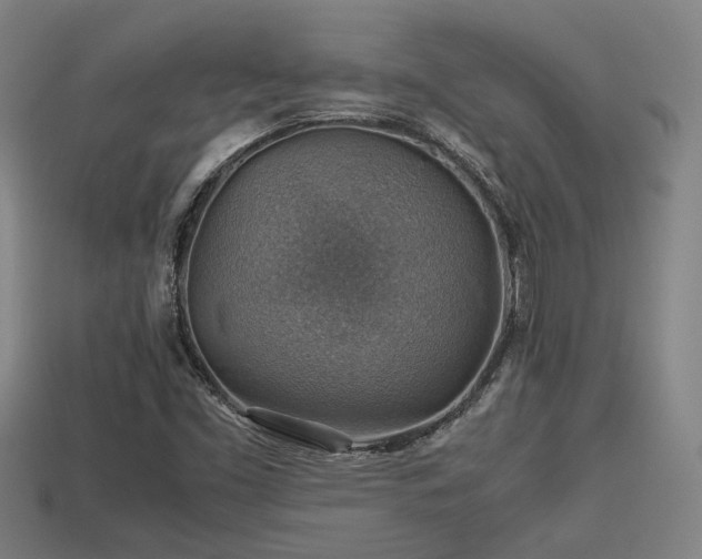 X0000113591453200909251126