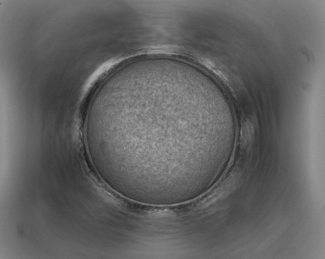 X0000113591454200909251126