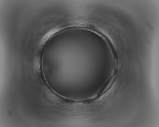 X0000113591455200909251126