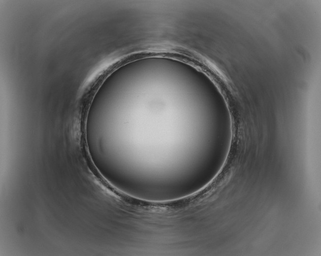 X0000113591456200909251126