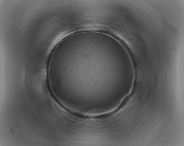 X0000113591459200909251126