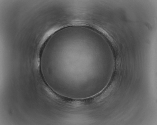 X0000113591461200909251126