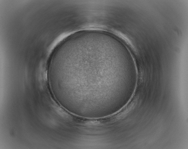 X0000113591462200909251126