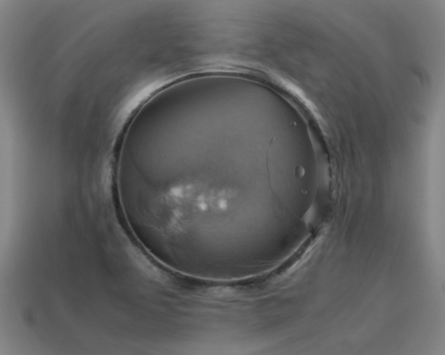 X0000113591463200909251126