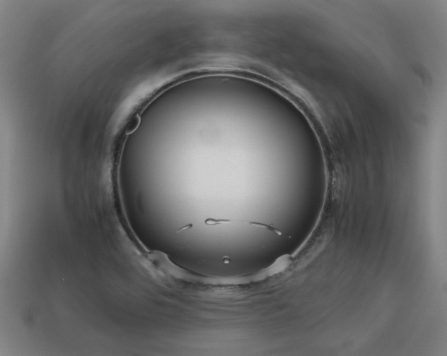 X0000113591464200909251126