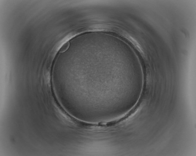 X0000113591465200909251126