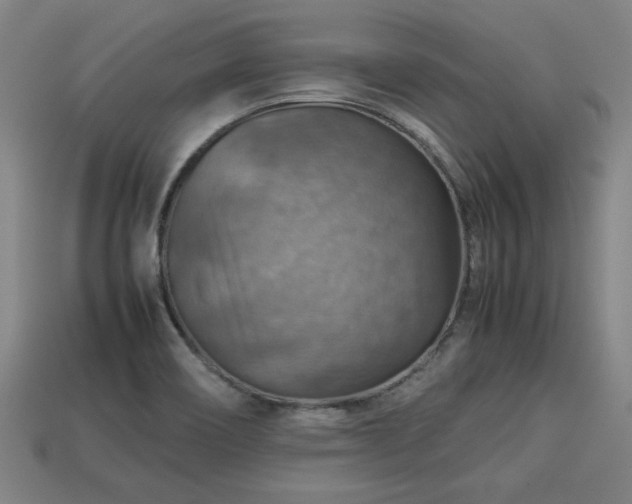 X0000113591466200909251126