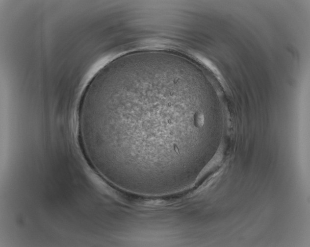 X0000113591467200909251126