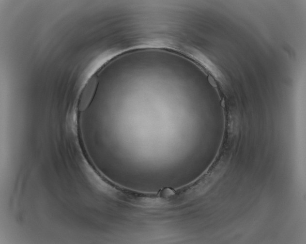 X0000113591468200909251126