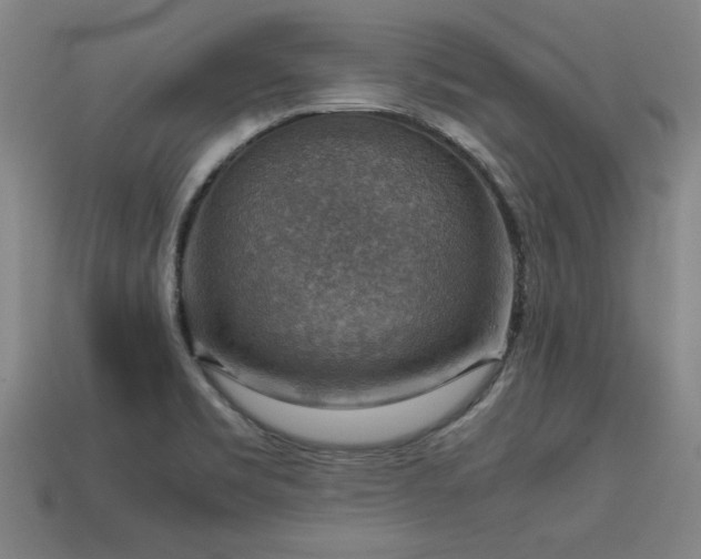 X0000113591469200909251126