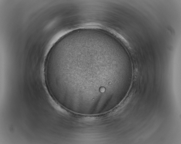 X0000113591470200909251126