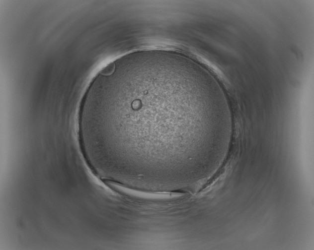 X0000113591471200909251126