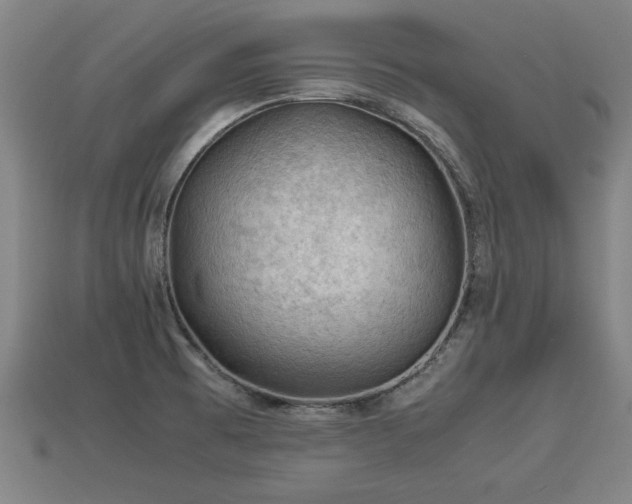 X0000113591473200909251126