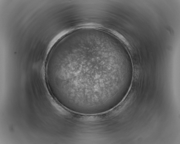 X0000113591474200909251126