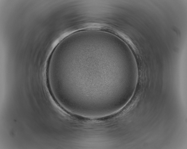 X0000113591475200909251126