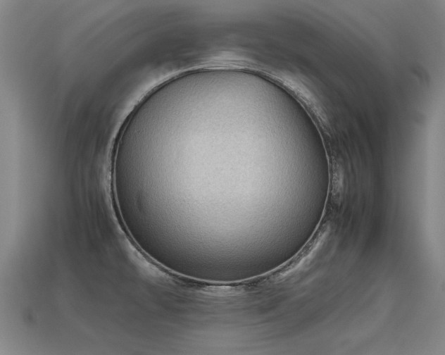 X0000113591478200909251126