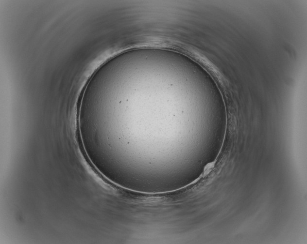 X0000113591479200909251126