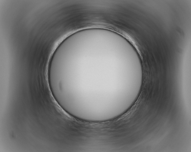 X0000113591480200909251126