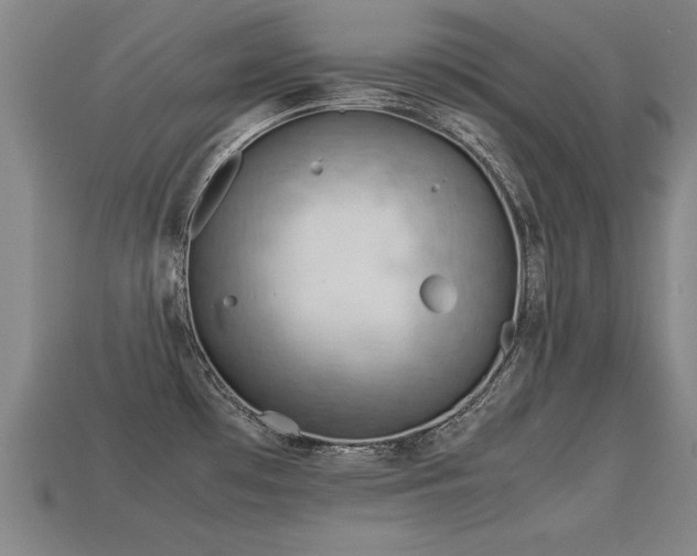 X0000113591481200909251126