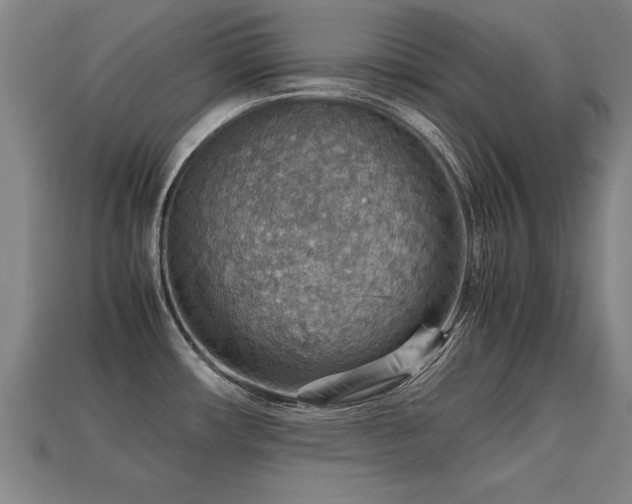 X0000113591482200909251126