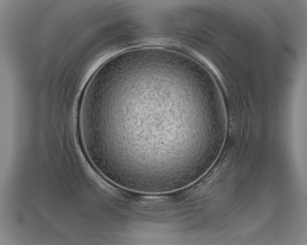 X0000113591483200909251126