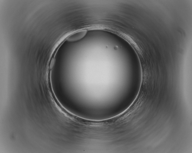 X0000113591484200909251125