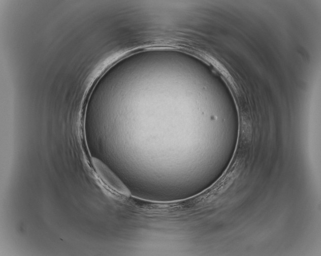 X0000113591485200909251125