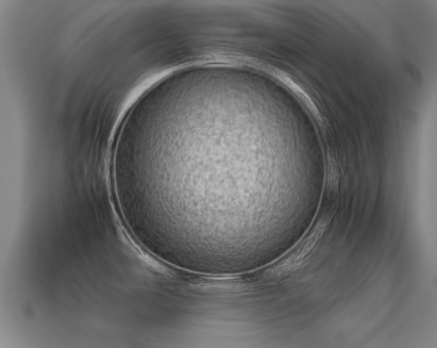 X0000113591486200909251125