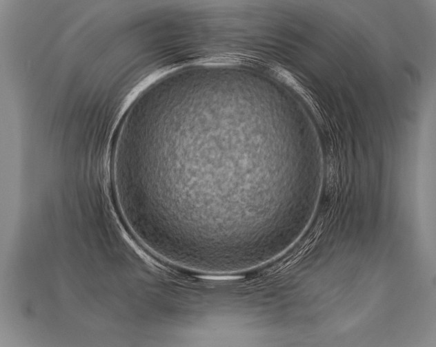 X0000113591487200909251125