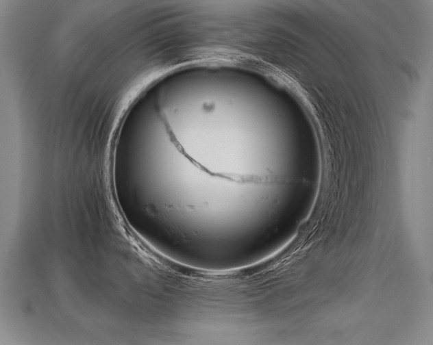 X0000113591488200909251125