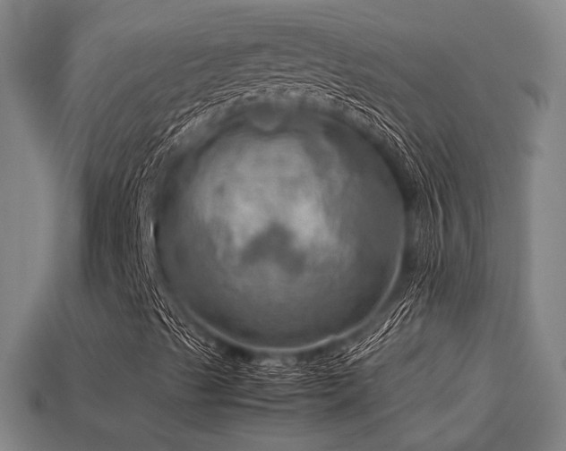 X0000113591489200909251125