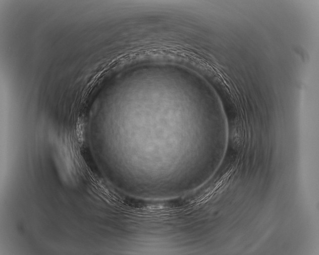 X0000113591490200909251125