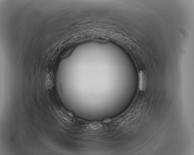 X0000113591491200909251125