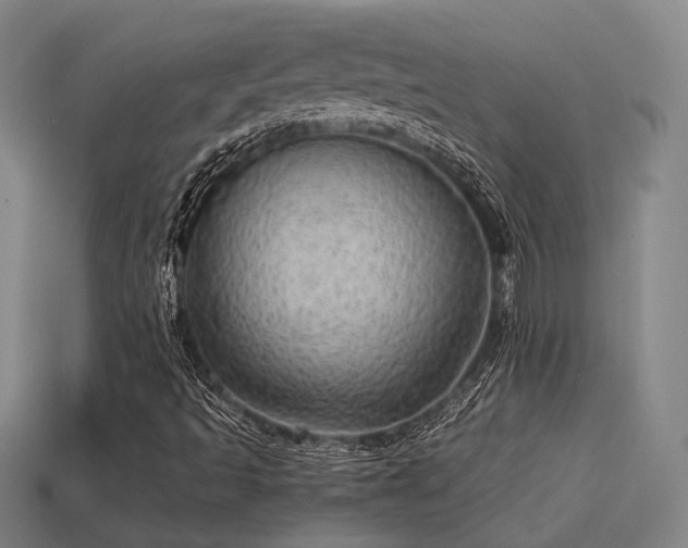 X0000113591493200909251125