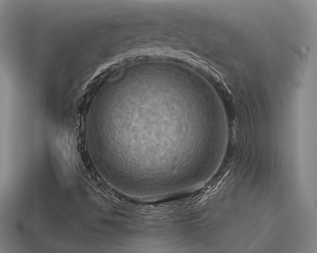 X0000113591494200909251125