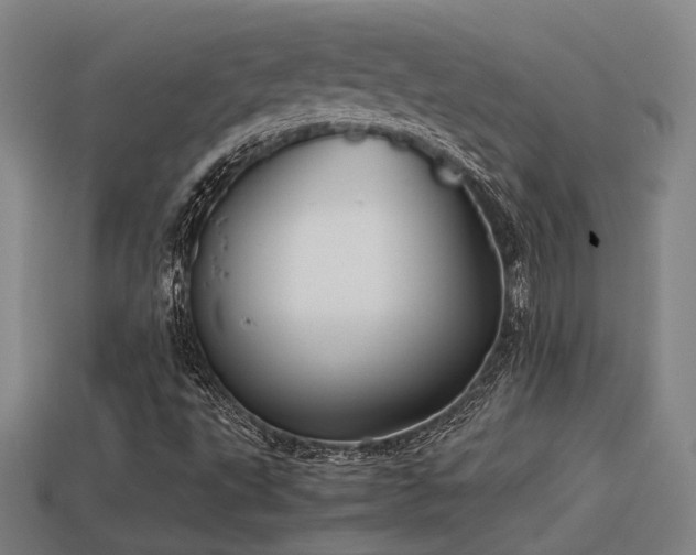 X0000113591495200909251125